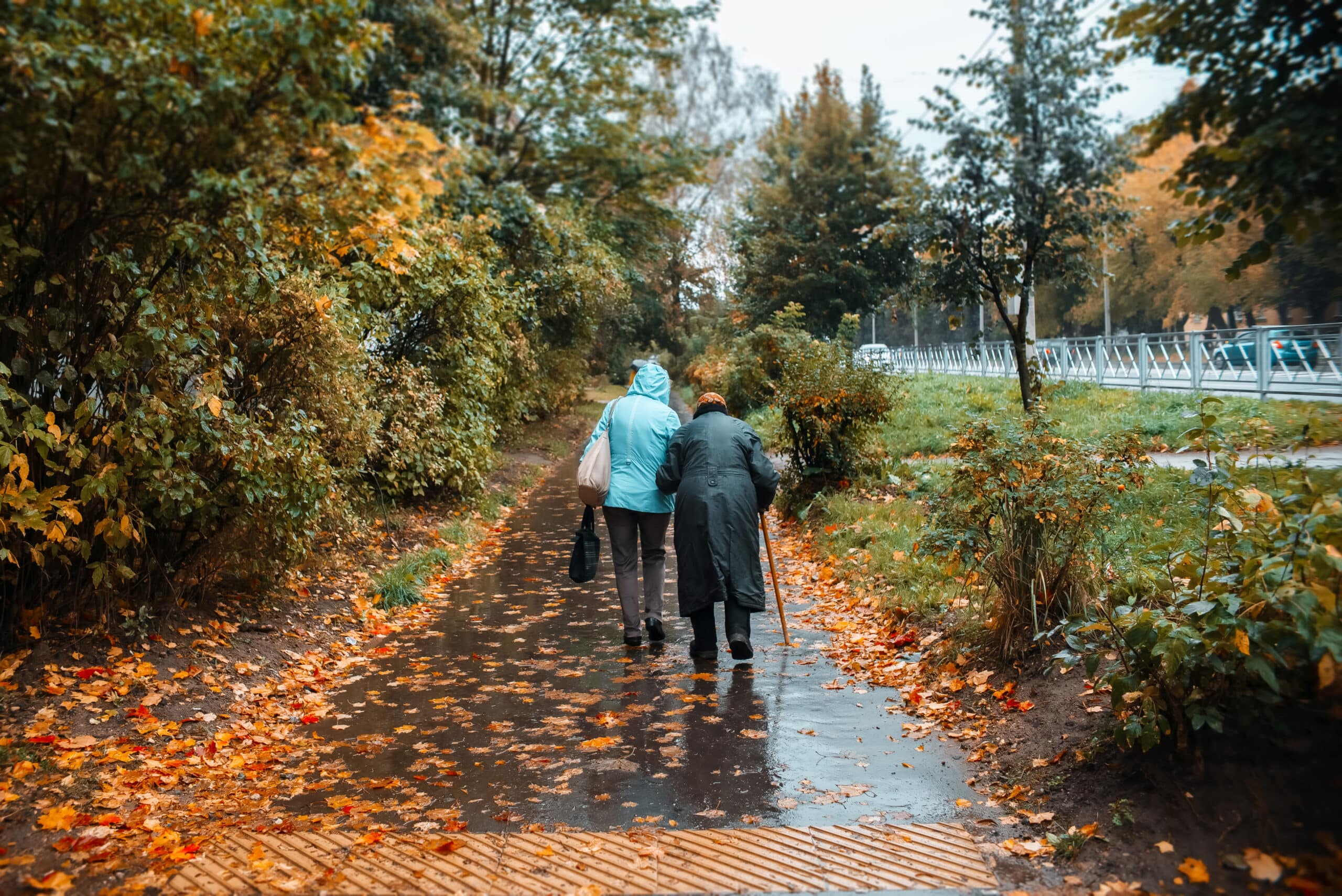 Sicher durch die dritte Jahreszeit – Tipps für den Herbstbeginn