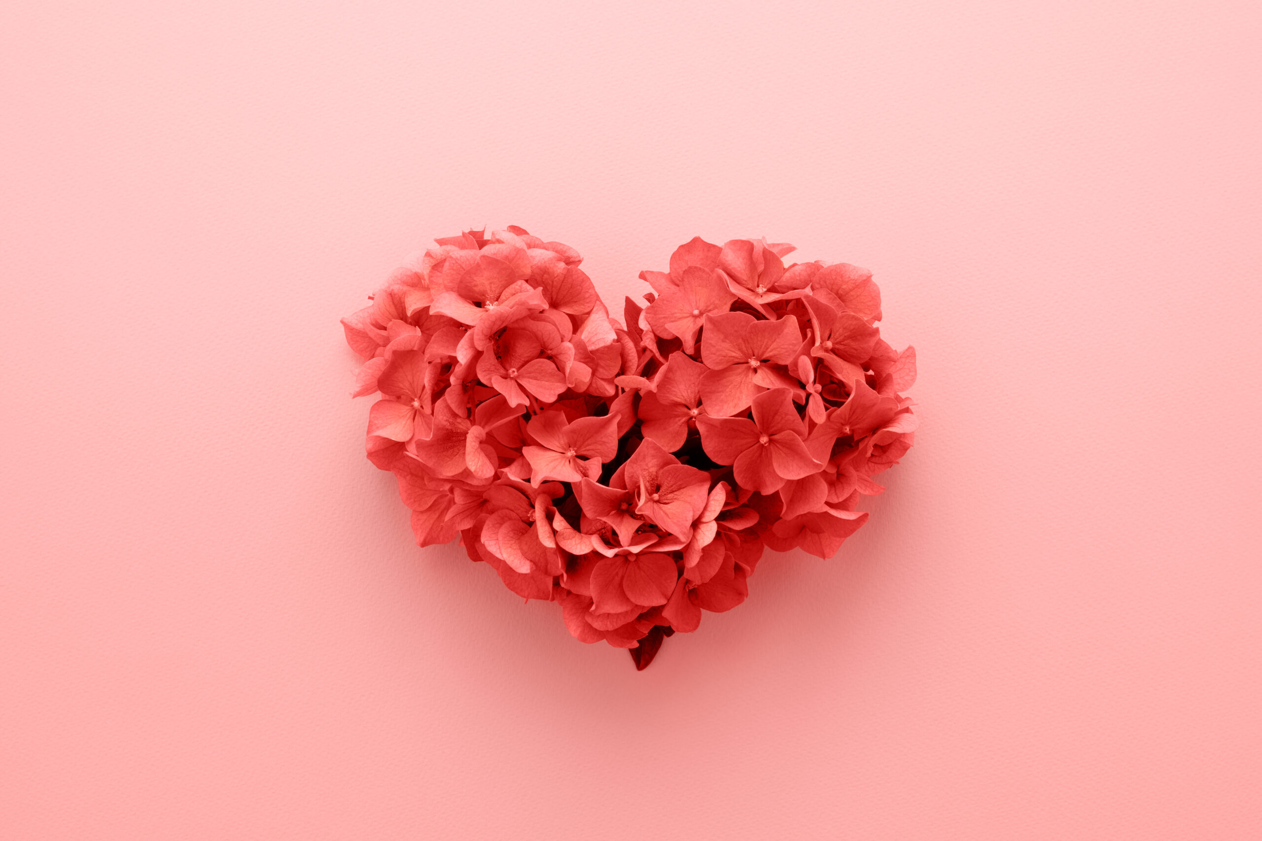 Valentinstag – Die Liebe feiern